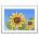 0134-picture.png